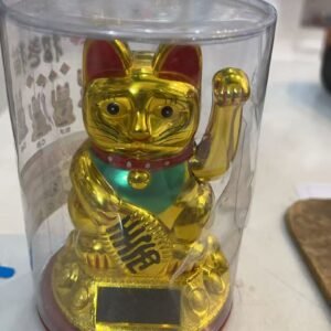 GATO PARA SORTE DE SOLAR