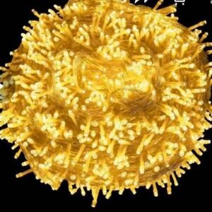 PISCA PISCA branco quente fio/trans 127v 15107 E 0159