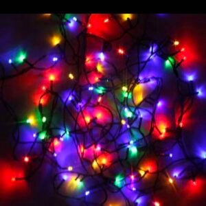 PISCA PISCA 220V e 110v bivot CLORIDO FIO VERDE AL 5950