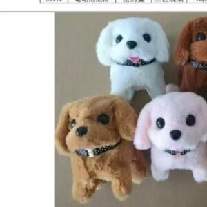 cachorro late 2829-1